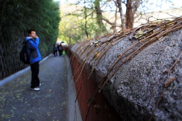 IMG_5100.jpg