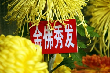 IMG_5109.jpg