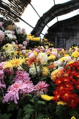 IMG_5128.jpg