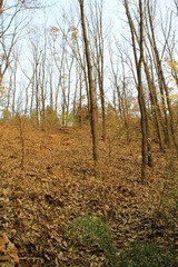 IMG_5177.jpg