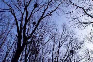 IMG_5178.jpg