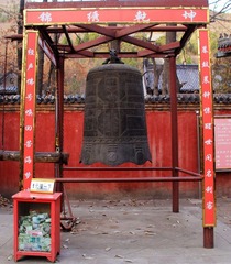 IMG_5183.jpg