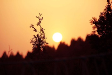 IMG_5208.jpg