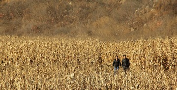 IMG_5276.jpg
