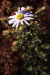 IMG_5301.jpg