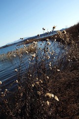 IMG_5307.jpg