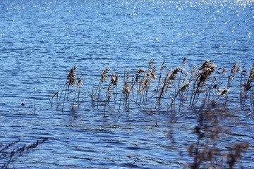 IMG_5330.jpg