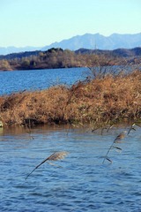 IMG_5331.jpg