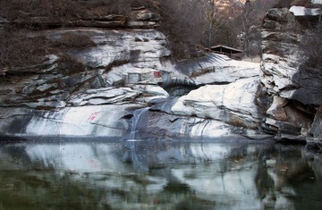 IMG_5371.jpg