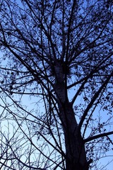 IMG_5378.jpg