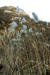 IMG_5457.jpg