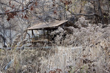 IMG_5459.jpg