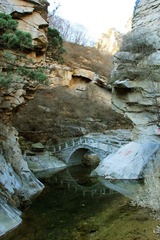 IMG_5462.jpg