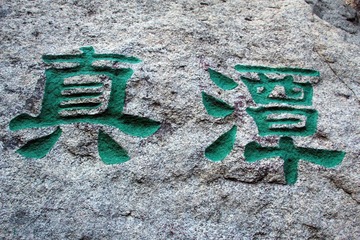 IMG_5511.jpg