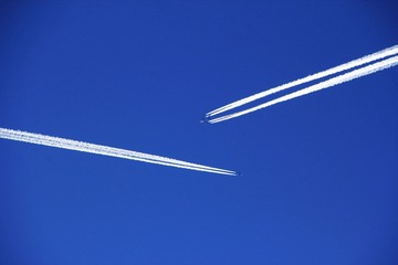 IMG_5519.jpg