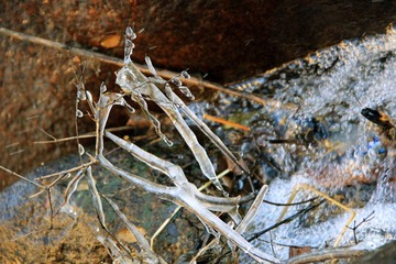 IMG_5523.jpg