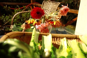 IMG_7744.jpg