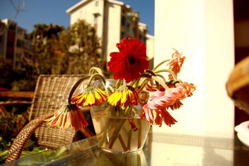 IMG_7746.jpg