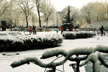 IMG_0589.jpg