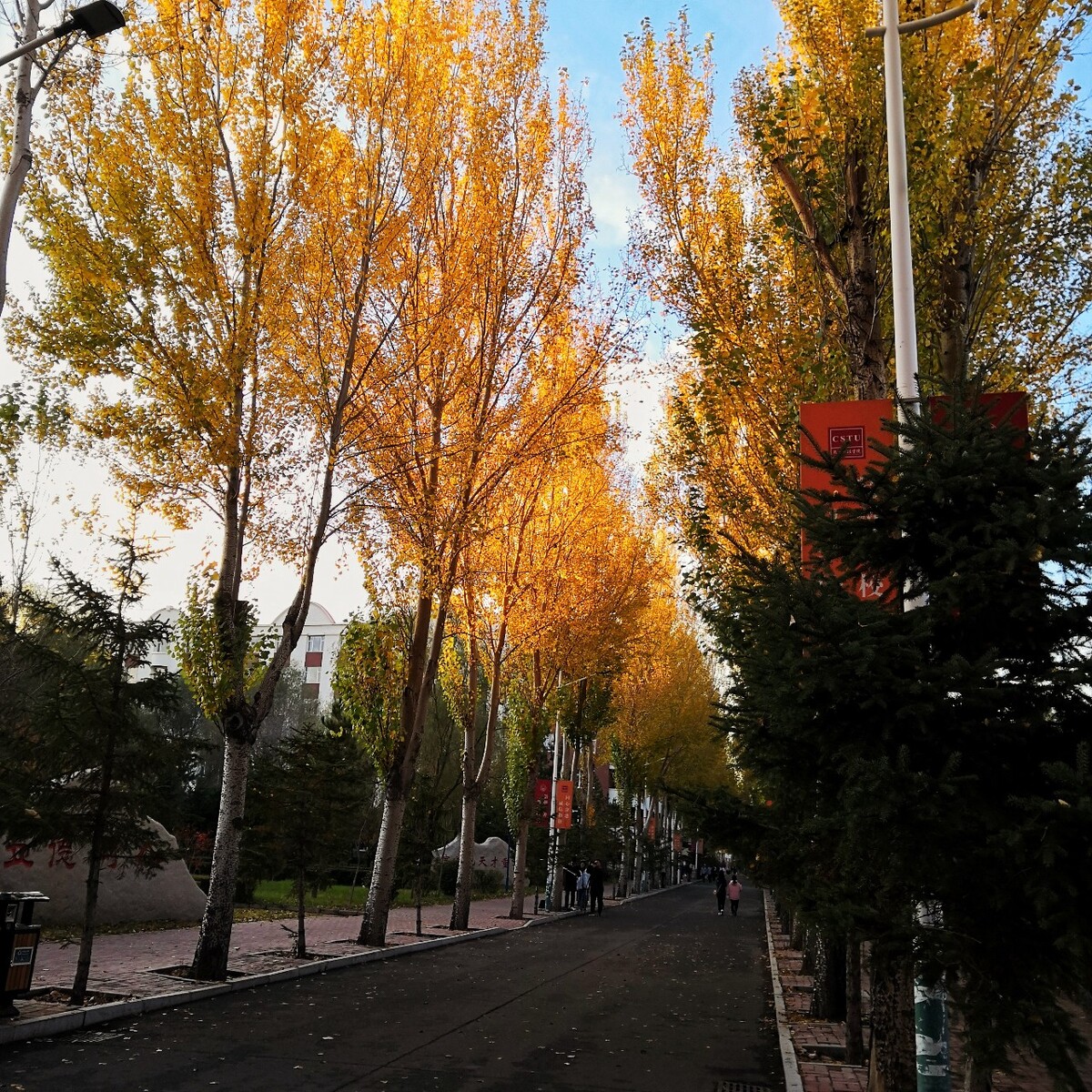 伴两旁