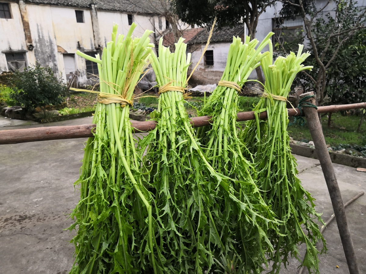 梅干菜到制作 - 草莓炖火锅 - 图虫