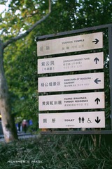 _MG_3774副本.jpg