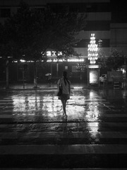 优雅的夜色