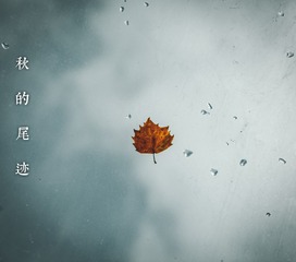 1213743