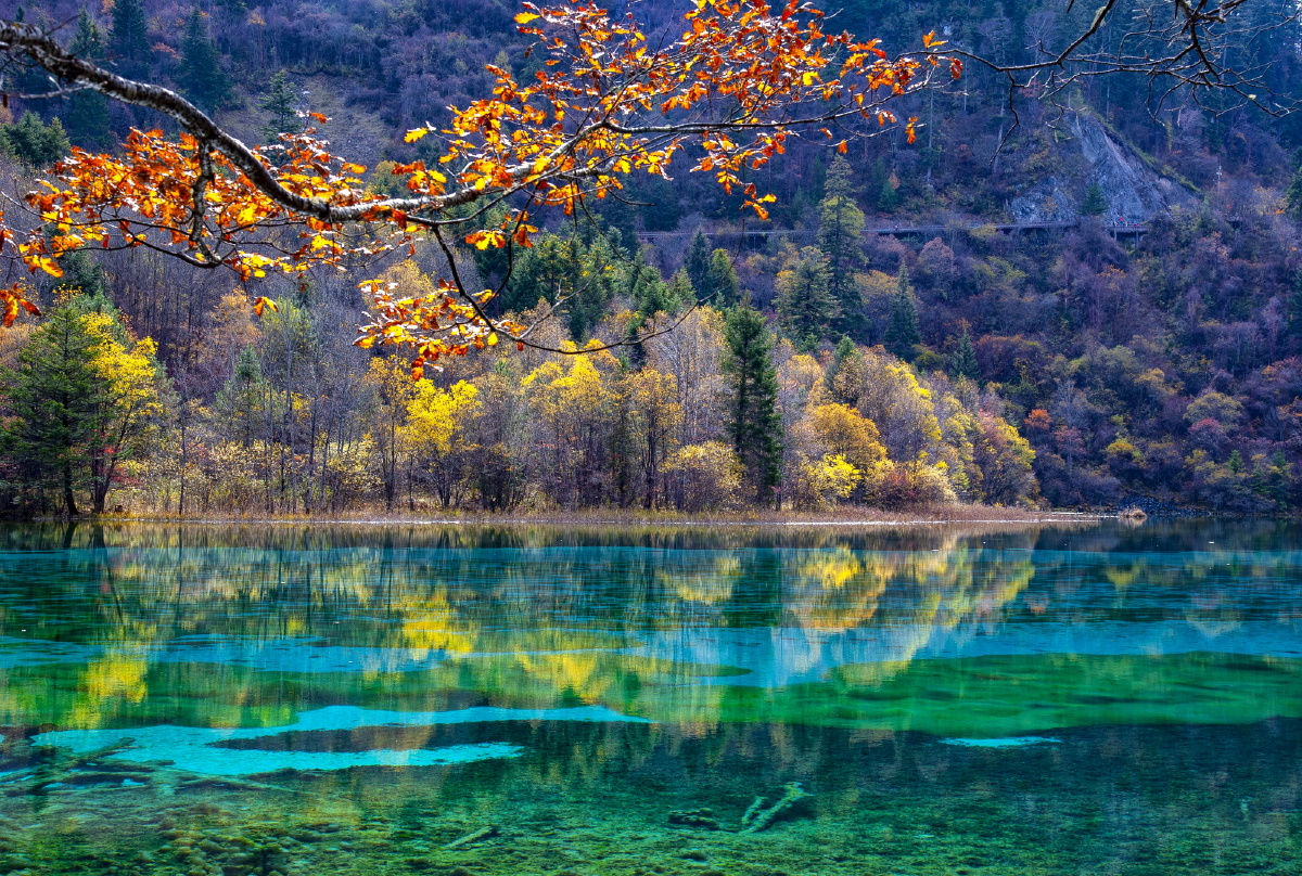 秋天的故事摄于四川九寨沟