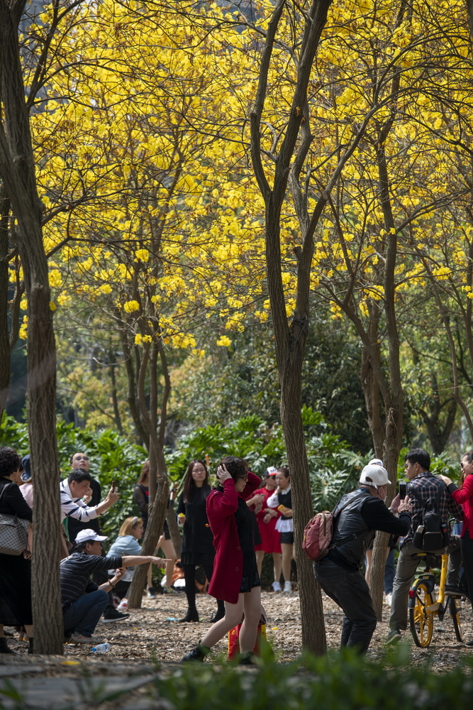 寻春踏青的好日子