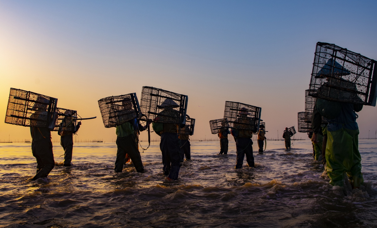 出海2021年4月拍摄于福建省福州市连江县小奥村渔民们迎着阳光出海