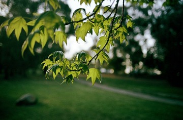Untitled-10.jpg