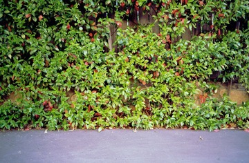 Untitled-22.jpg
