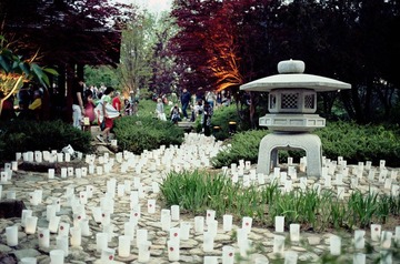 Untitled-23.jpg