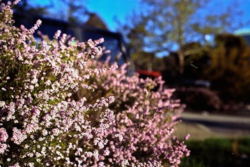 N03_22.jpg