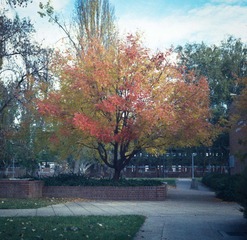 Scan-120508-0002-2.JPG