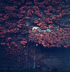 Scan-120508-0007-7.JPG