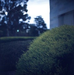 Scan-120508-0008-8.JPG