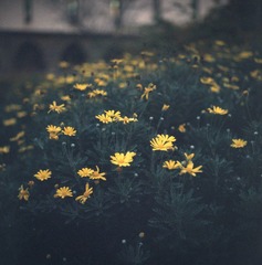 Scan-120508-0010-10.JPG