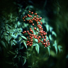 Scan-120530-0003-3.JPG