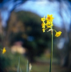 Scan-120530-0006-6.JPG