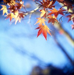 Scan-120530-0007-7.JPG