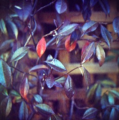 Scan-120530-0009-9.JPG