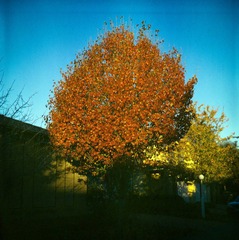 Scan-120531-0001-11.JPG