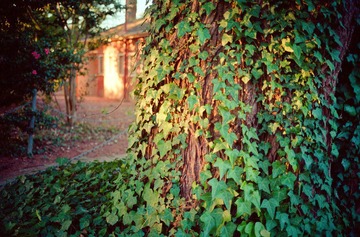 Scan-120822-0004-19.JPG