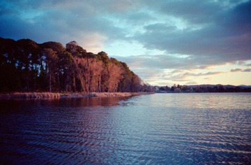 Scan-120822-0010-25.JPG