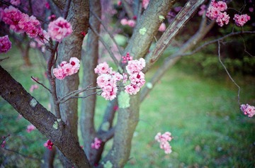 Scan-120823-0008-33.JPG