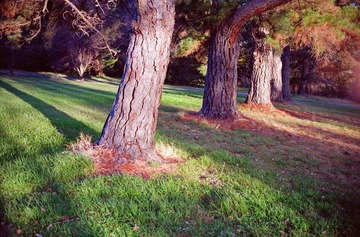 Scan-120823-0011-36.JPG