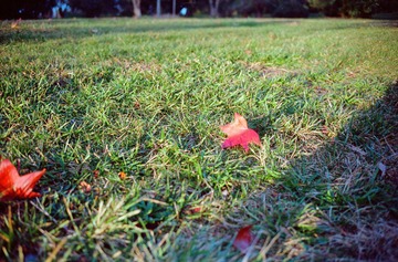 Scan-120823-0013-38.JPG
