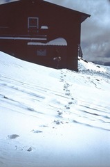 Scan-120919-0012-12.JPG